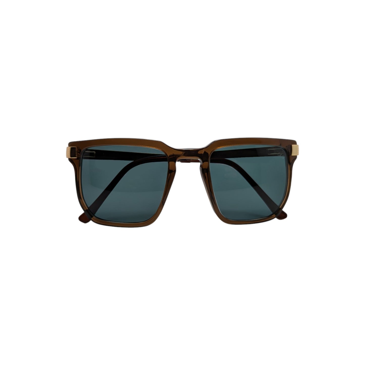 Transparent brown square acetate sunglasses with gold accents — men's Vega frame, style II